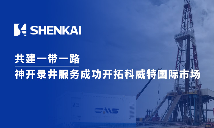 k1���� - ʮ��Ʒ�� ֵ������