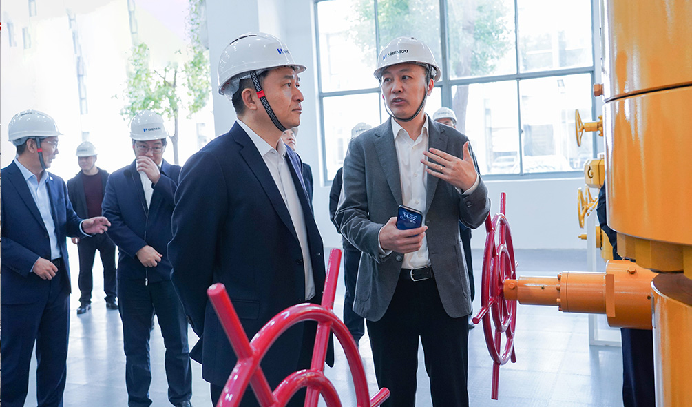 k1���� - ʮ��Ʒ�� ֵ������